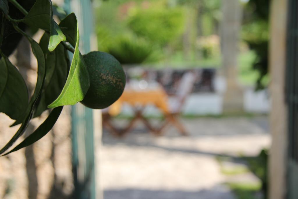 Bed and Breakfast Parco Degli Aranci à Cutrofiano Extérieur photo